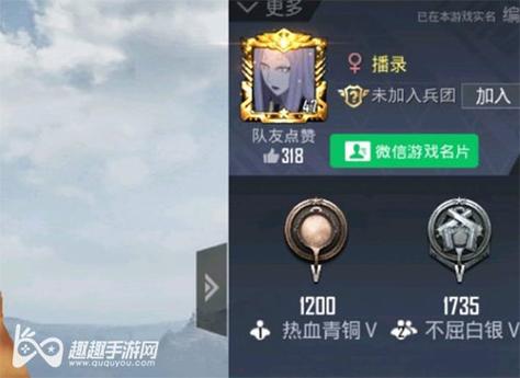 和平精英辅助工具安全指南：保护账号远离封禁